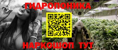 спиды Славгород