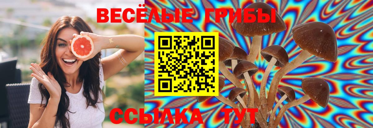 Галлюциногенные грибы Cubensis Новочебоксарск
